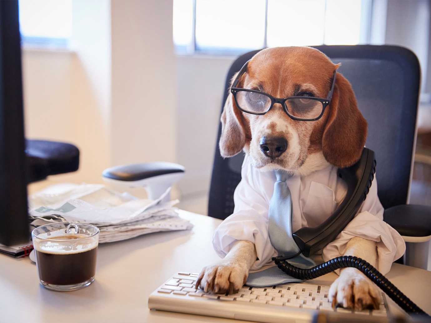 professionals, oxytocin, fee-good hormones, stress, anxiety, trauma, physiolgical regulation, counseling