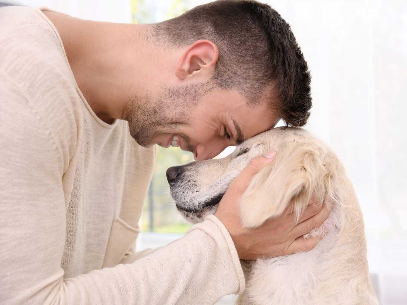 redditors, public opinion, thread, nonjudgement, verbal processing, attachment, co-regulation, pet therapy