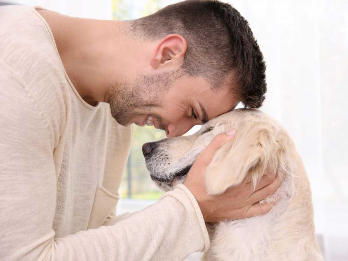 redditors, public opinion, thread, nonjudgement, verbal processing, attachment, co-regulation, pet therapy
