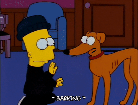 guard dog, happy dog, friendly, dogs, people