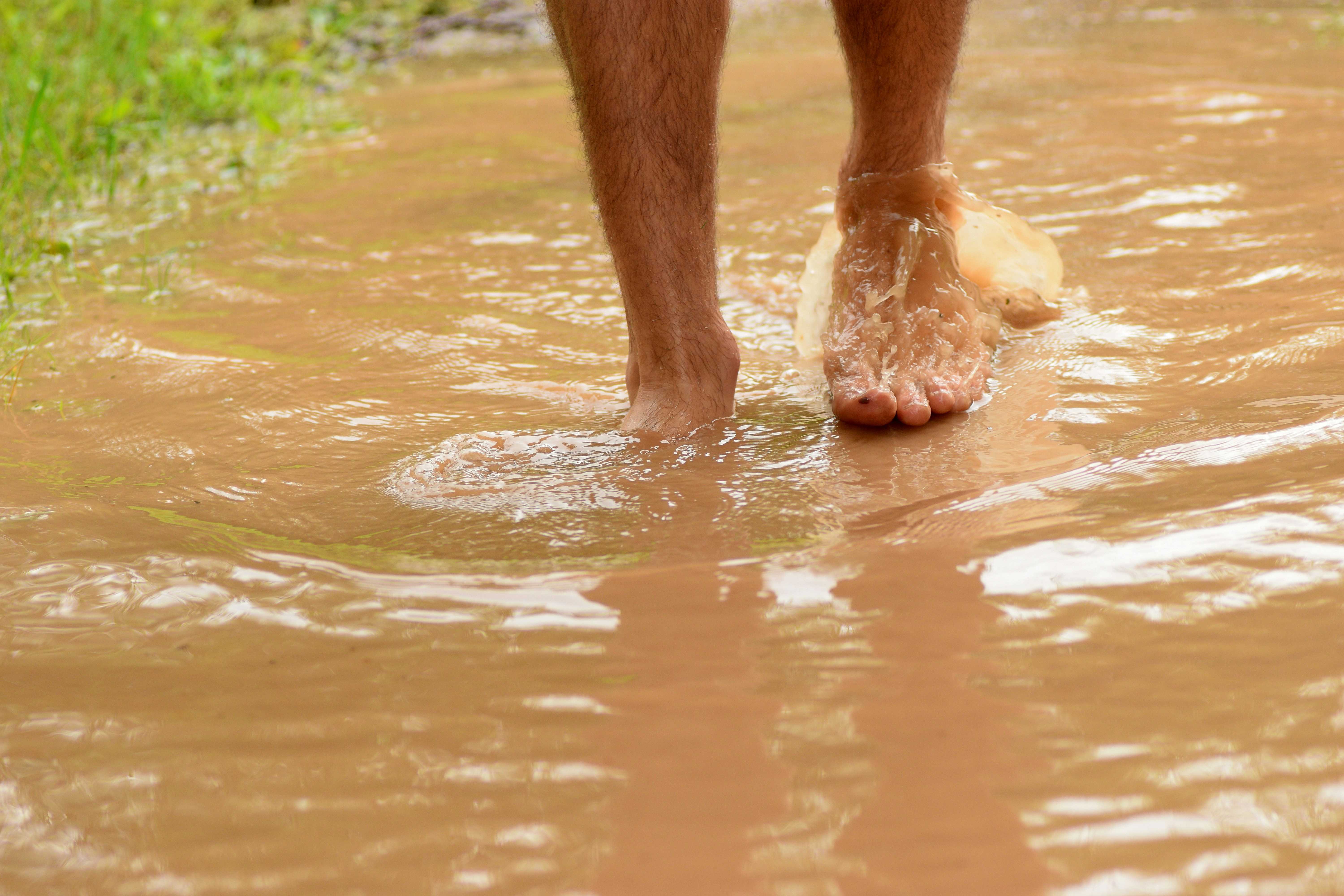 Fiji, Fiji water, water, bottled water, water quality, water testing, science, studies