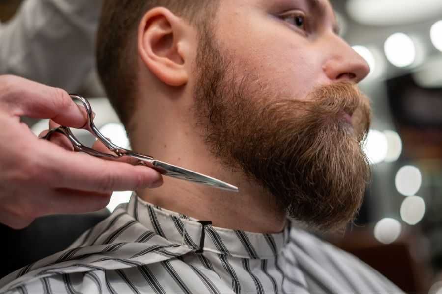 beards poop; beards poop particles; fecal matter beards; beards; beard grooming; beard shampoo; facial hair care; facial hair