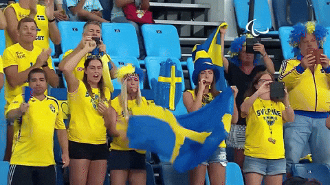 sweden, swedes, swedish flag, tourism, switzerland