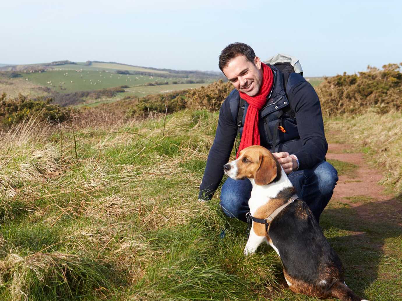 motives, nosy neighbor, venting, animal attunement, animal support, dog therapy, canine