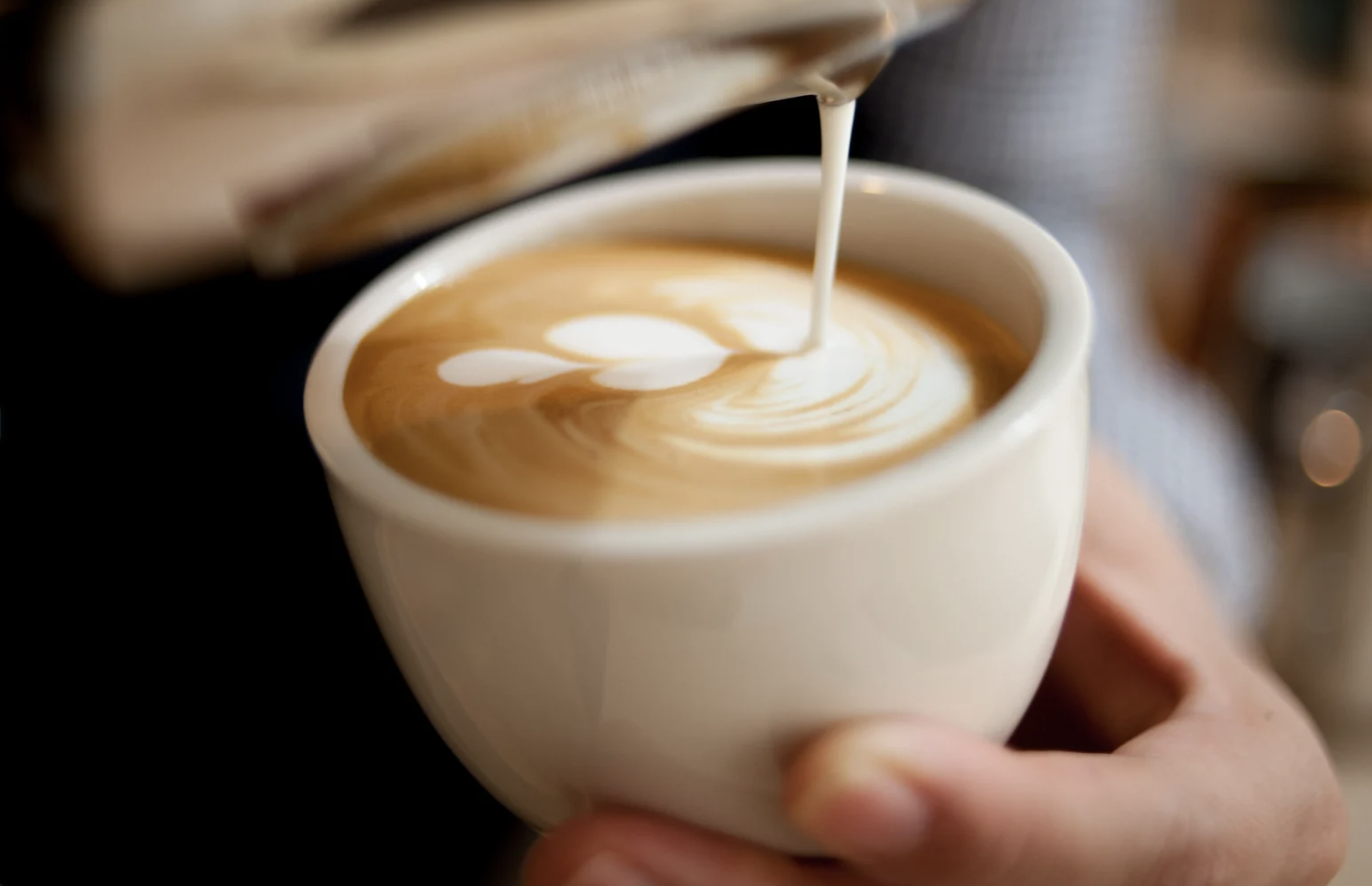 neighbors, plants, watering plants, plant watering guide, handwritten, introverts, loving an introvert, community, social skills