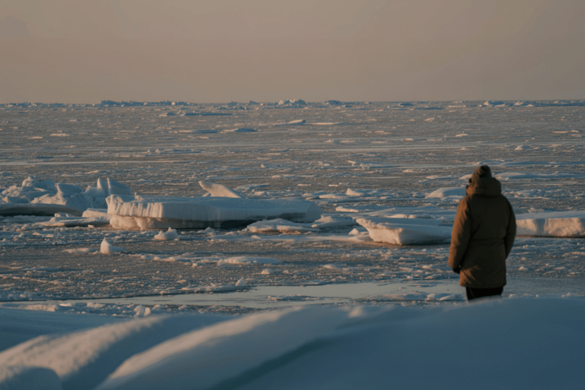 glaciers, glacier, arctic, antarctica, global warming, climate change, environment, globe, conservation