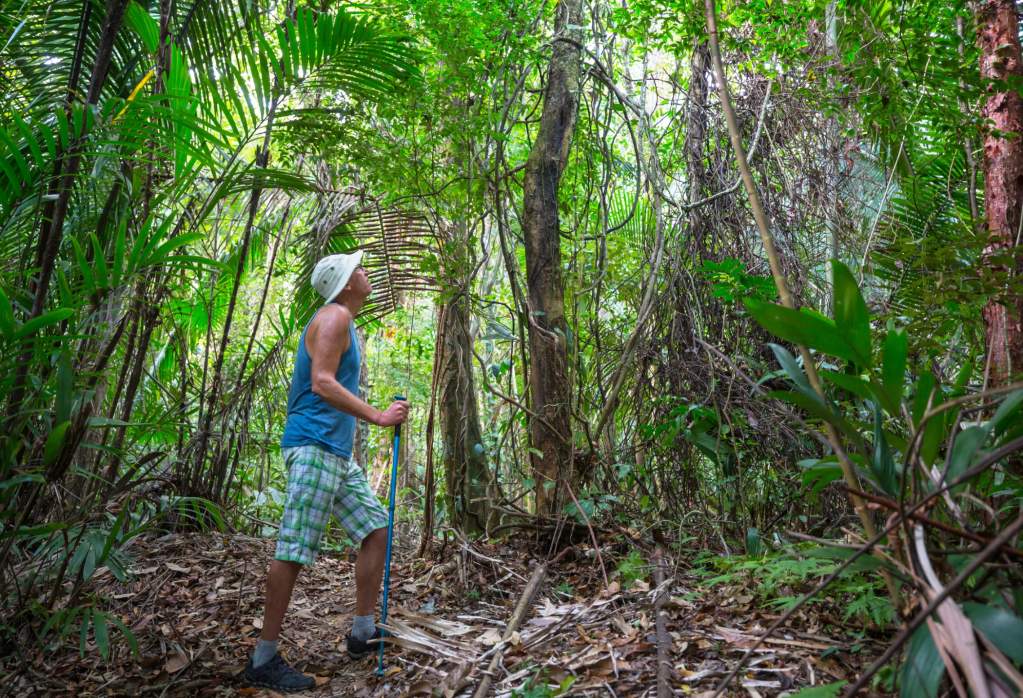 Robert Lennox-Hvenekilde, Colombia, jungle, Gen Z, homeownership, off-grid, sustainable, dream life, TikTok, Newsweek