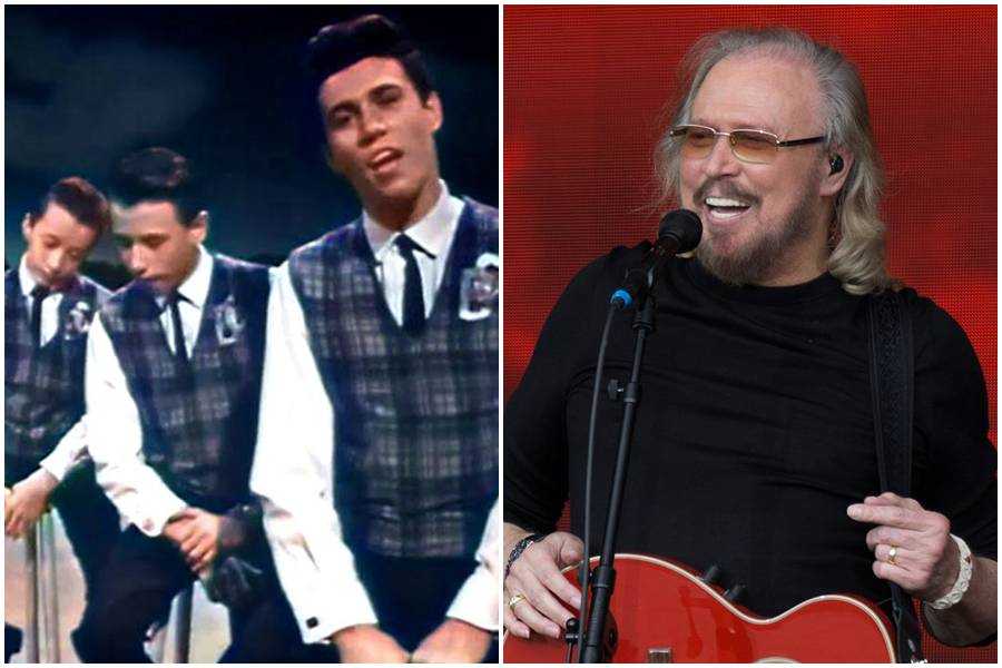 bee gees, maurice gibb, robin gibb, barry gibb, bob dylan, blowin' in the wind, music history