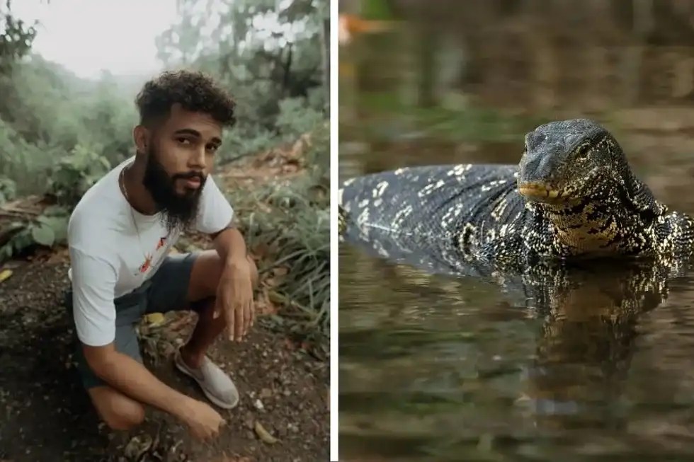Man builds a small pond in a Brazilian forest. The life it attracts is incredible.