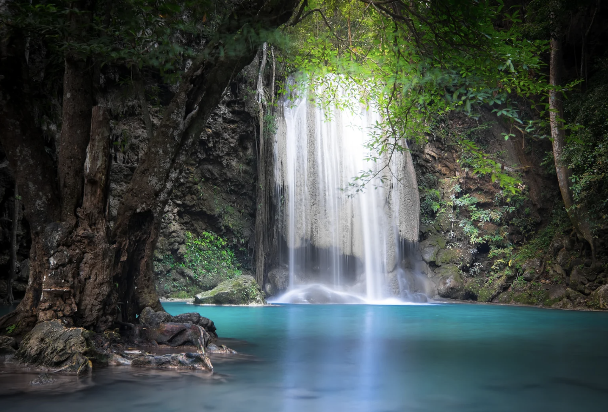 Robert Lennox-Hvenekilde, Colombia, jungle, Gen Z, homeownership, off-grid, sustainable, dream life, TikTok, Newsweek