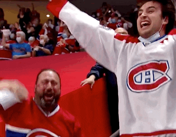 sports, hockey, fans, friendship, pleasure