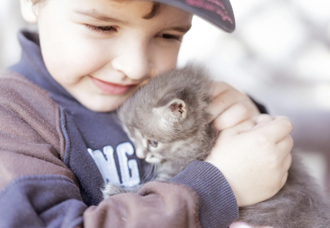 acts of kindness, kindness homework, homework, eliminating homework, teaching kindness, students, school, kids