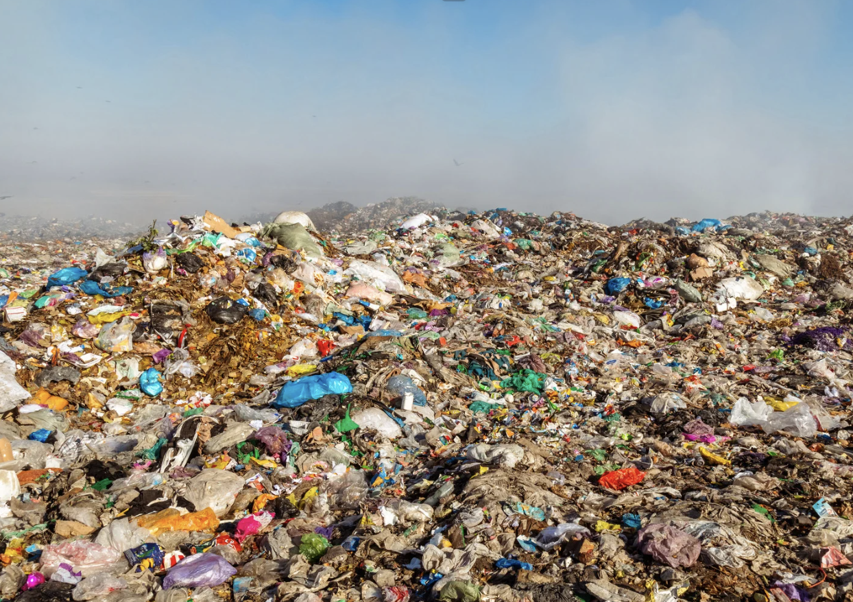 frugal gifts, frugal tips, frugal living, thriftmas, christmas, christmas shopping, black friday deals, goodwill, thrifting