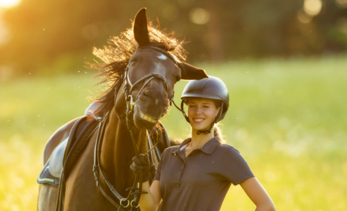 comedy pet photo awards, funny pet photos, pets, animals, humor