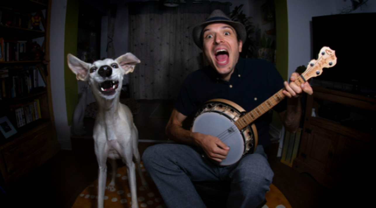 comedy pet photo awards, funny pet photos, pets, animals, humor