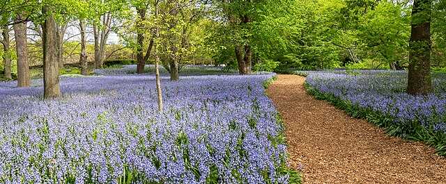 garden, flowers, brooklyn botanical gardens, gardening metaphor, beautiful garden