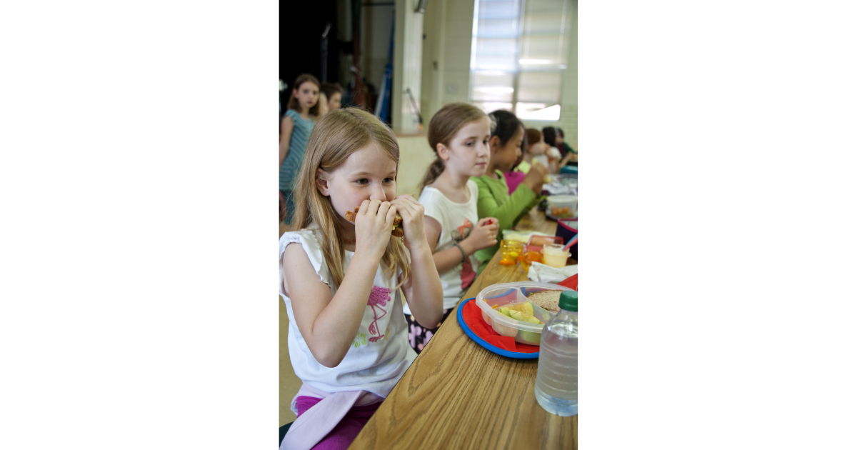 school lunch, South Korea, American food, nutrition, viral photo, Reddit, food culture