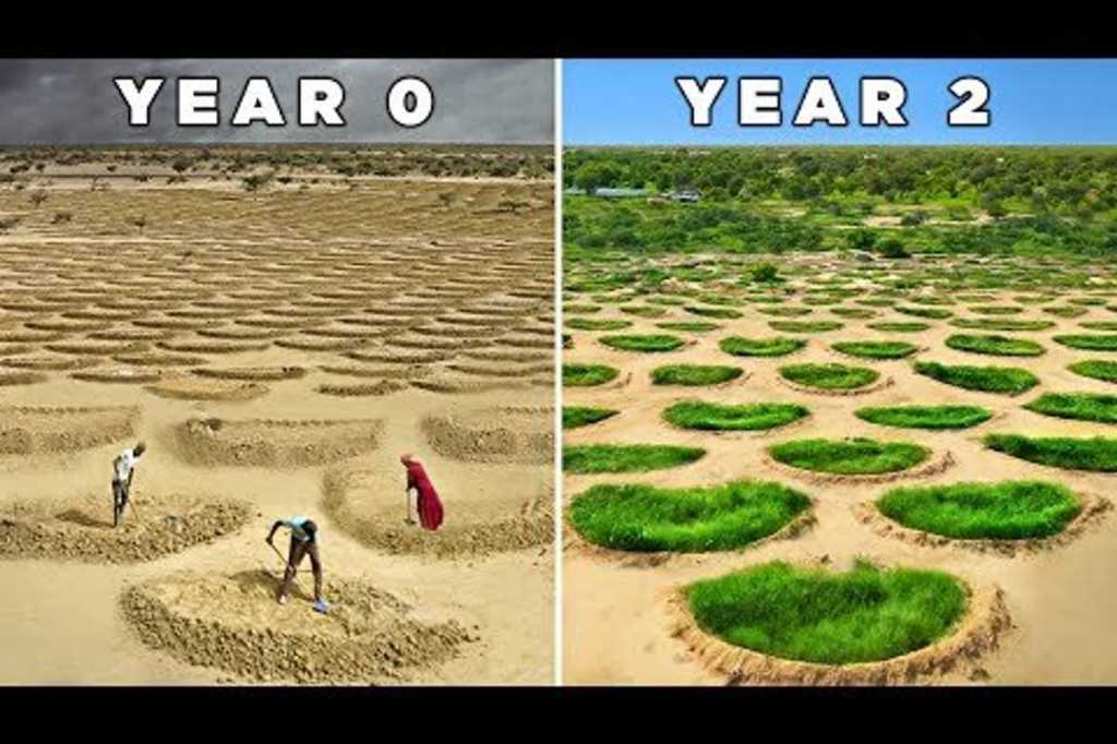 Water harvesting, water system, growing food in the desert, agriculture, farming