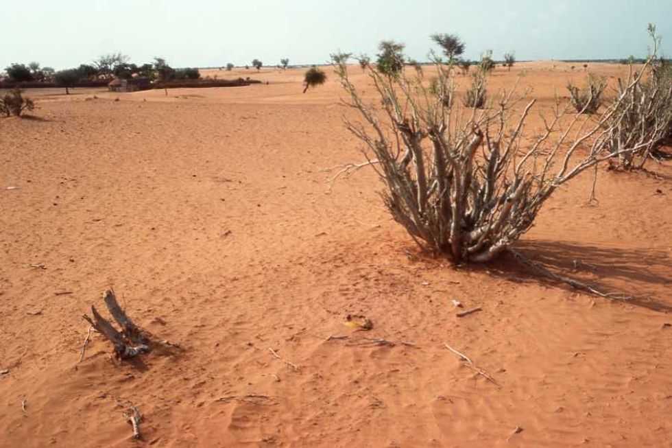 desert, desertification, erosion, sahel region, burkina faso 