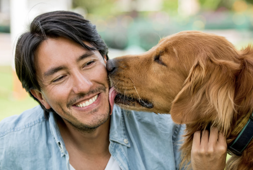 dog experiments, dog tongue cleaner than humans, experiments by kids, cool science, dogs, fun science, experiments, science