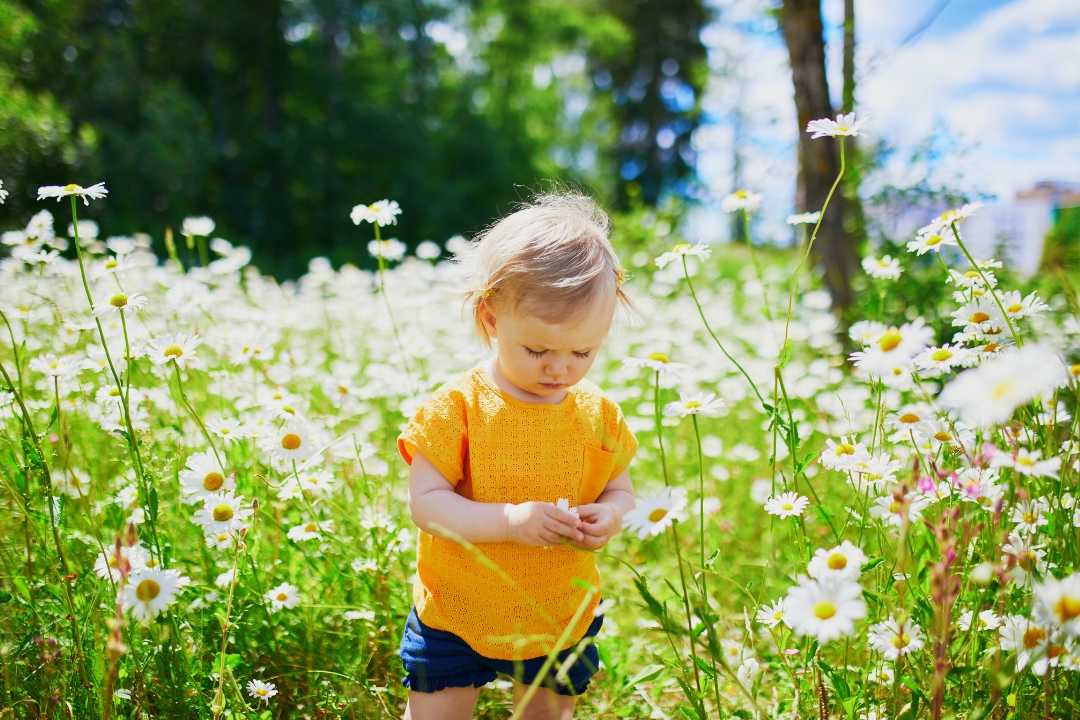 daisies, wisdom, poetry, life advice, barefoot, flowers