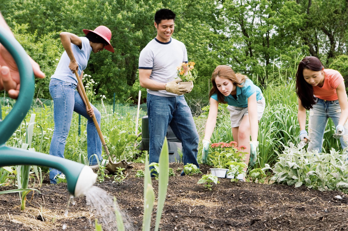 hobbies, unique hobbies, irl hobbies, meeting new people, boxing club, meet ups near me, clubs near me, making friends, ask reddit