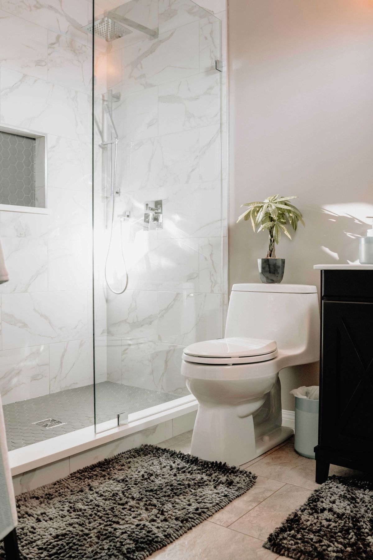bathroom, shower, toilet, sink