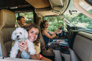 driving, long drive, road trips, driving in america, driving in europe