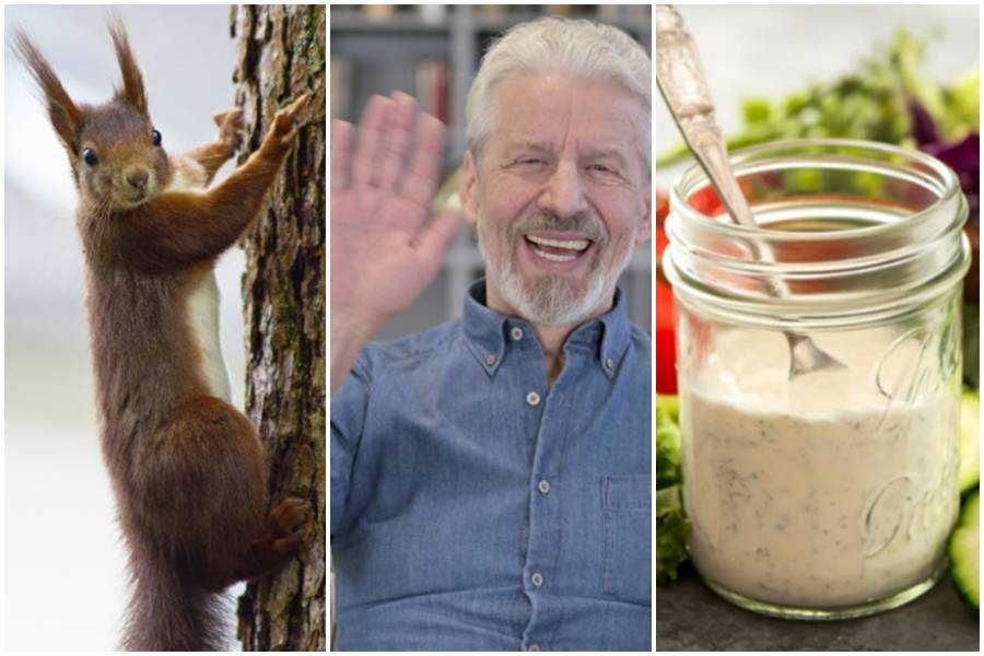 squirrel, waving man, ranch dressing, american things, rodents