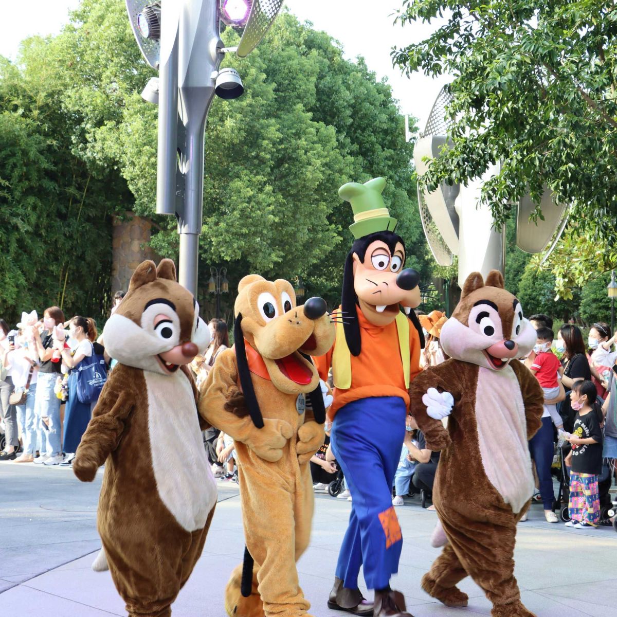 service dog, golden retriever, disney cruise, disney characters, good dog, dogs, pets, funny animals