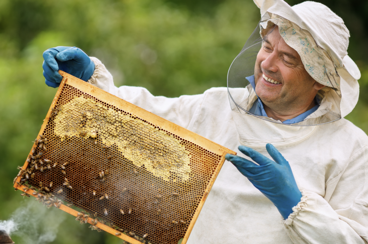 hobbies, unique hobbies, irl hobbies, meeting new people, boxing club, meet ups near me, clubs near me, making friends, ask reddit