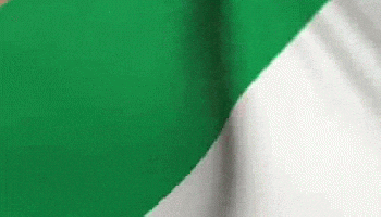 irish, ireland, irish flag, limerick, the cranberries