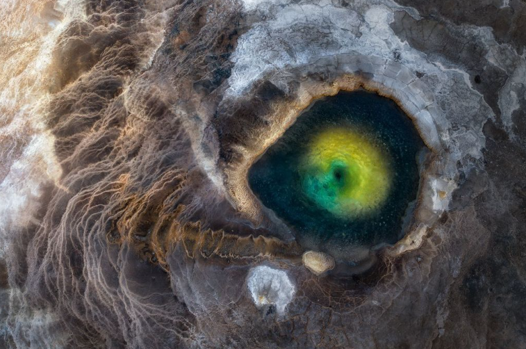 12 birds that are so bizarre-looking it's hard to believe they're ...
