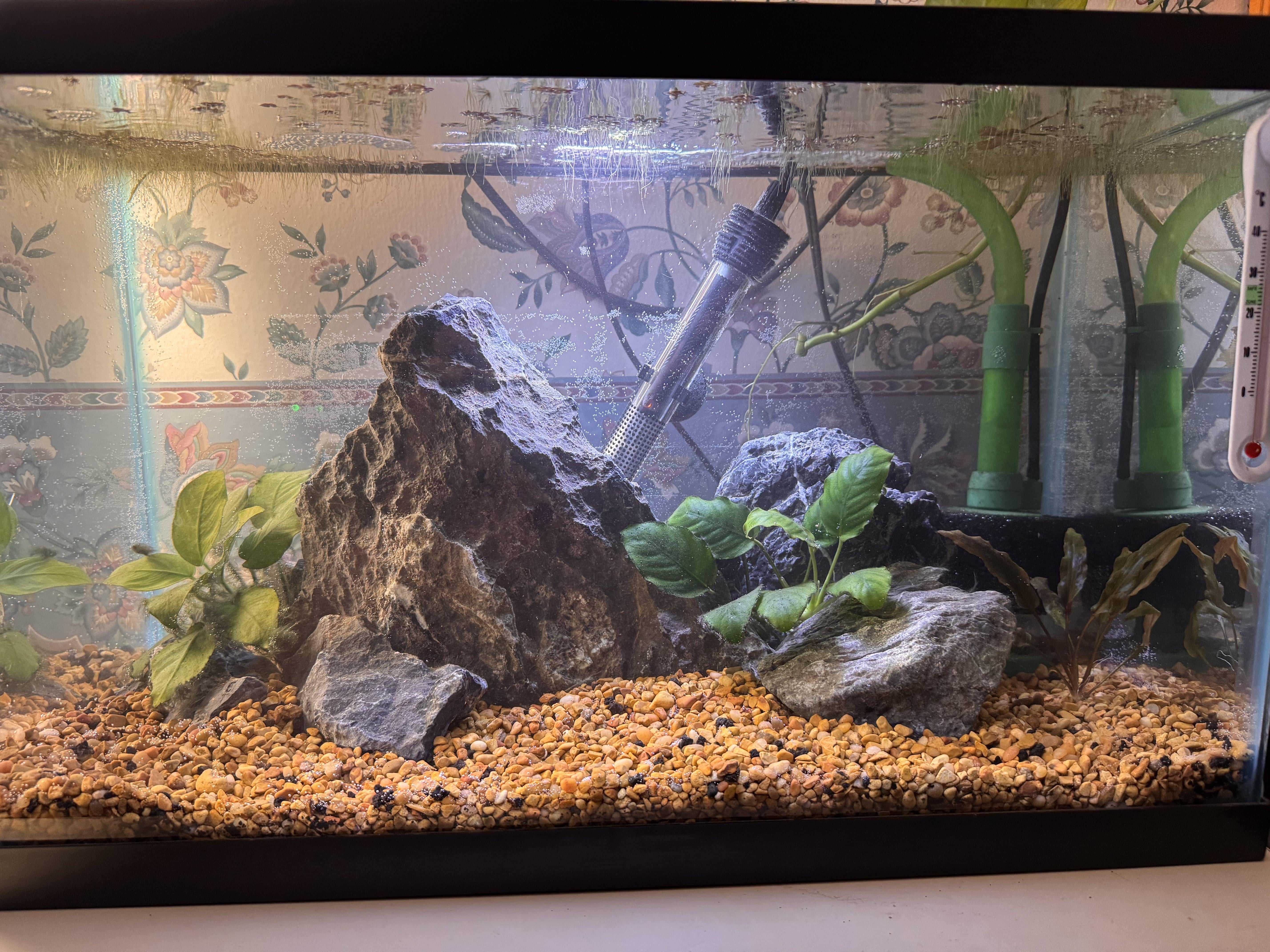 hobbies, analog hobbies, making art, exercise, digital detox, ask reddit, creativity, art, dance, hobbies