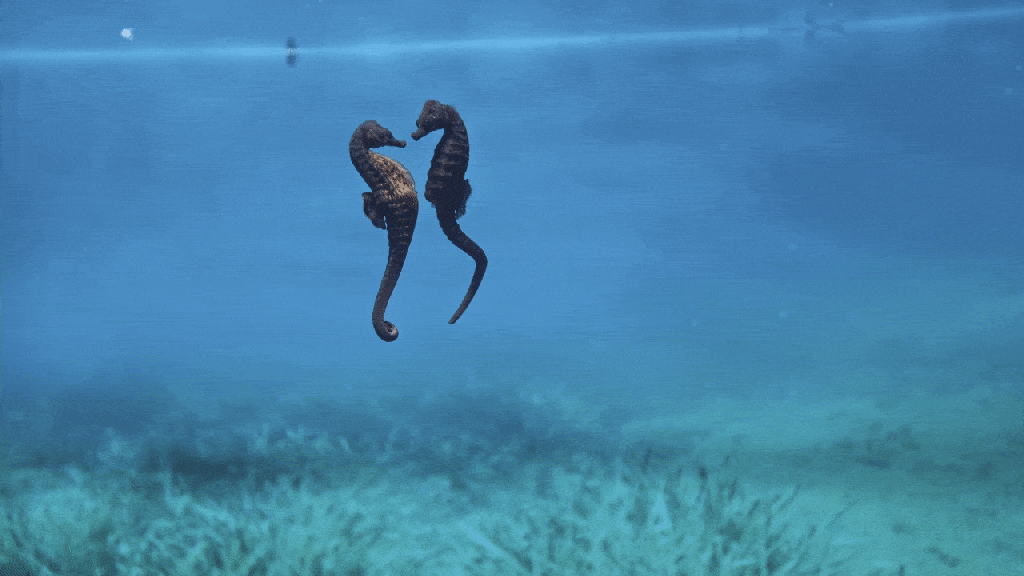 Our favorite giveaway is back. Enter to win a free, fun date!