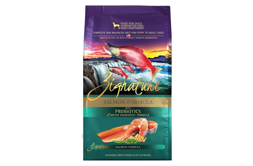 Zignature Salmon Formula dog food bag with vibrant fish imagery.