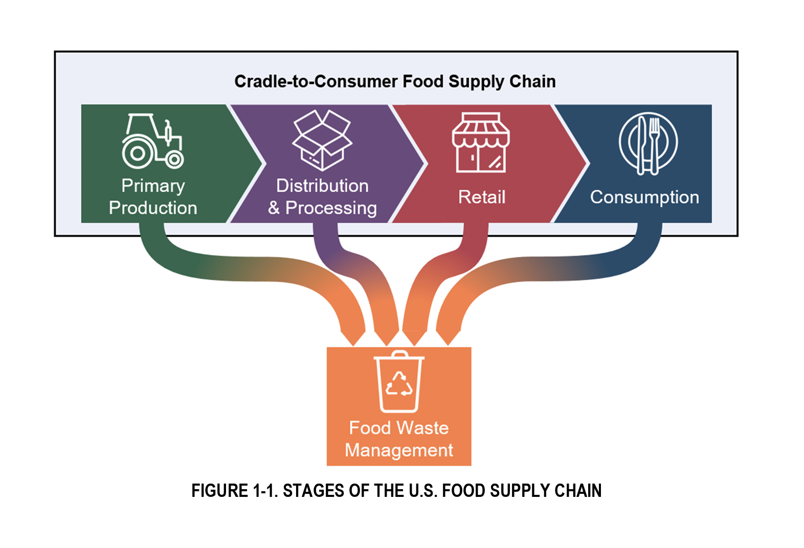 food, waste, america, issue, consumption