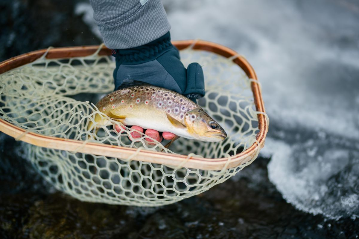 fishing industry, rivers and oceans, camping