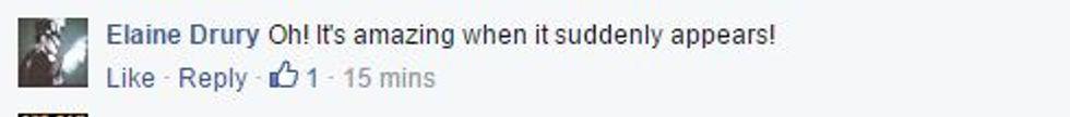 Facebook comment that reads,