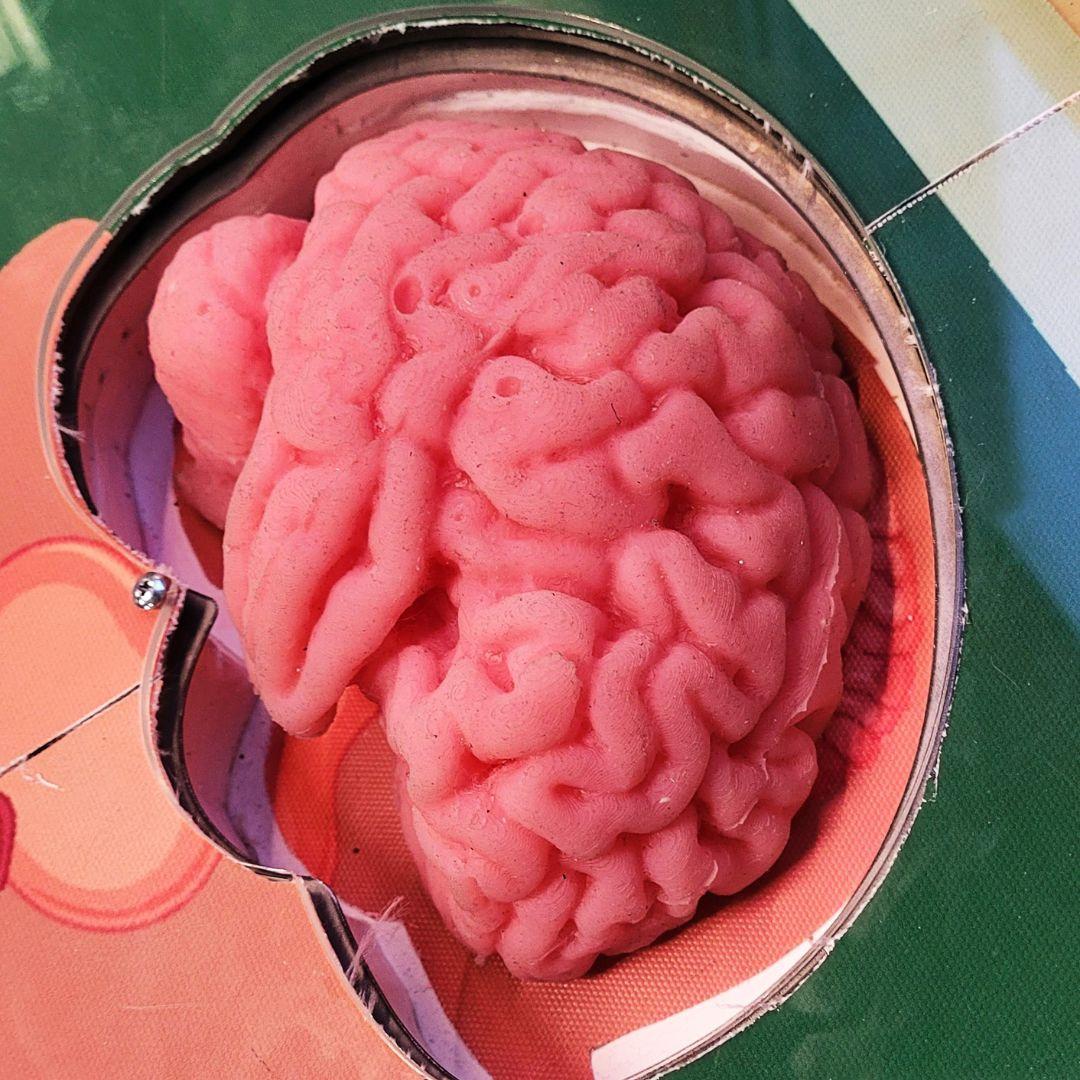 brain, operation game