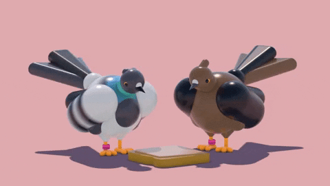 Gif of animated pigeons standing next to bread