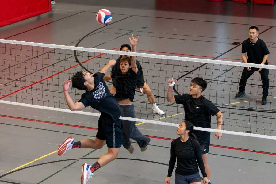 japan, japanese, volleyball, culture, apology