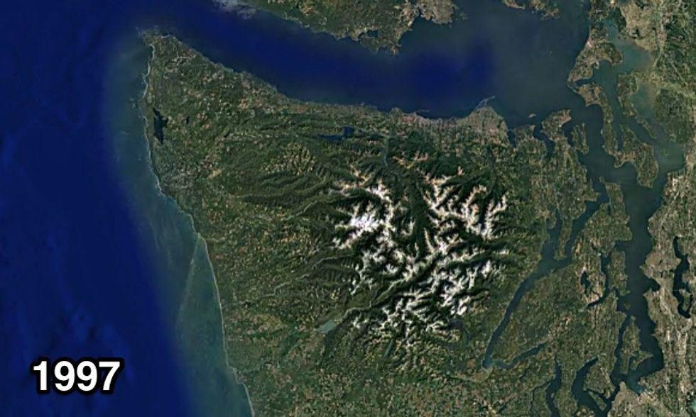 recovery, ecology, healing