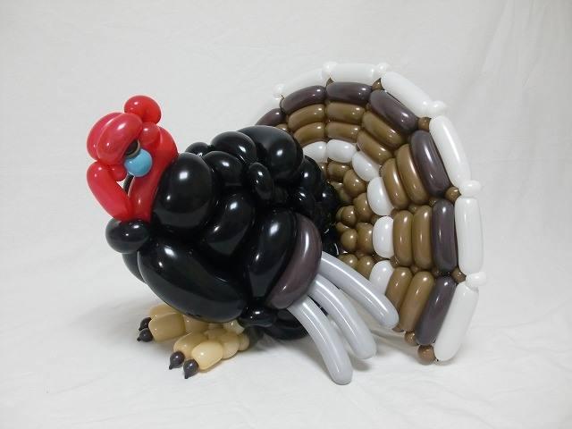 colorful, domestic turkey, feathers, balloons