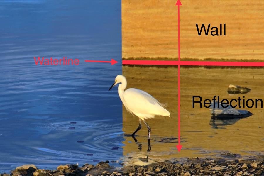 nature photography