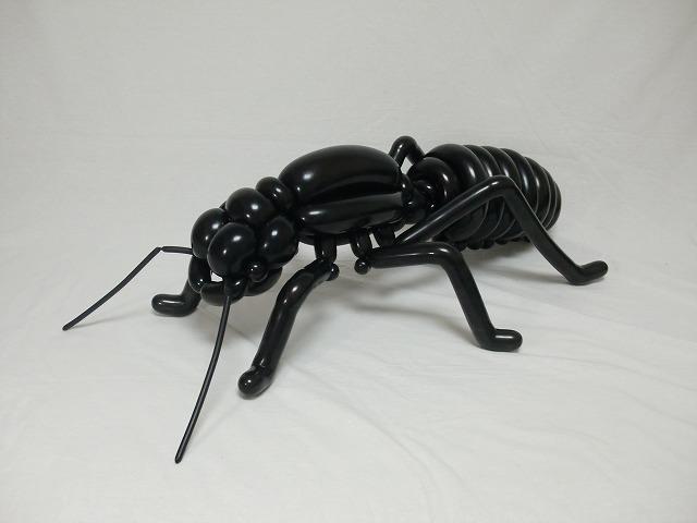 exoskeleton, ants, nest, Hymenoptera