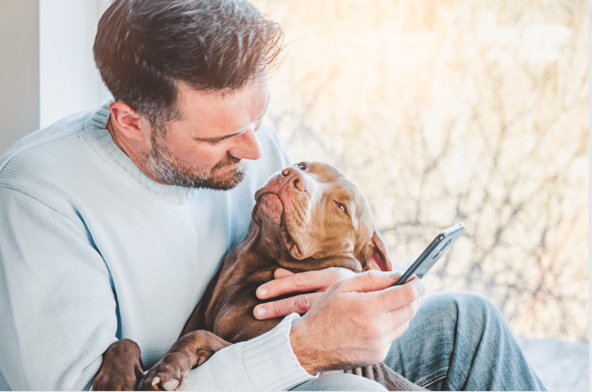 dogs, love languages