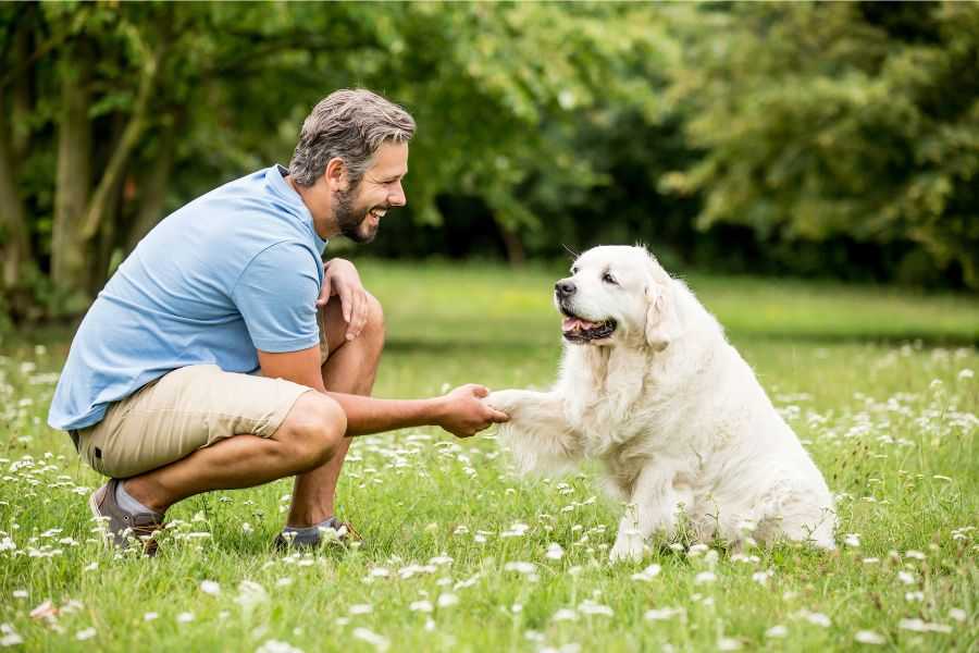 dogs; smart dogs; Duke study; dogs read minds; puppies; puppies vs wolf pups