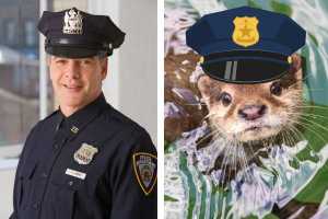 splash otter florida, florida, otter, search and recovery, police, k9 unit, splash otter, wildlife, florida news