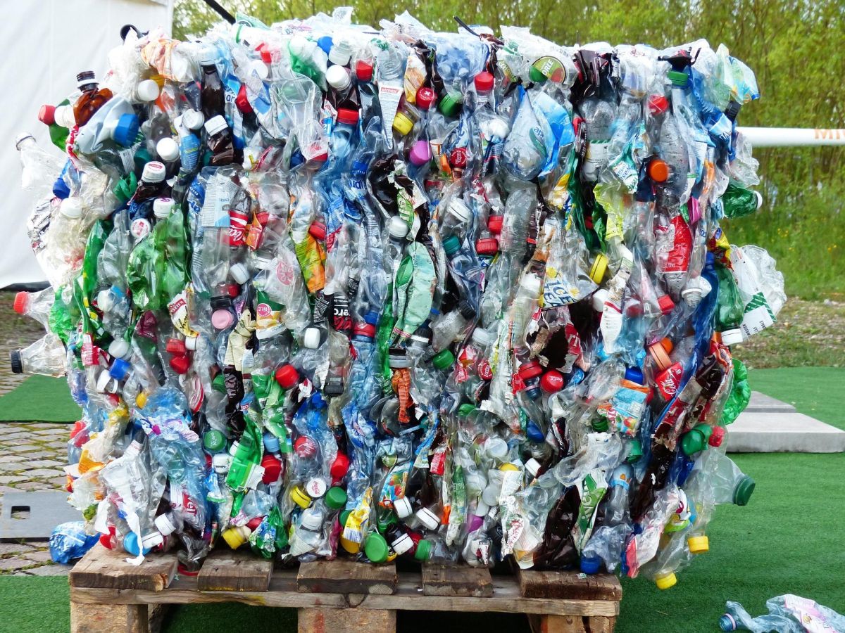 recycling, reusable, plastic bottles, PET, enzymes